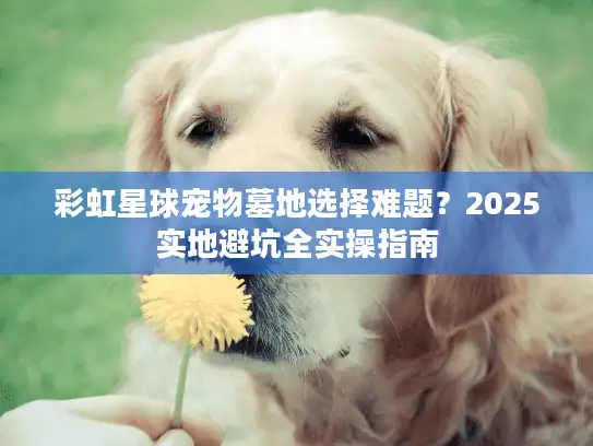 彩虹星球宠物墓地选择难题?2025实地避坑全实操指南 彩虹星球宠物墓地选择难题?2025实地避坑全实操指南