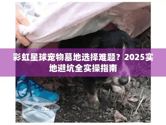 彩虹星球宠物墓地选择难题?2025实地避坑全实操指南 彩虹星球宠物墓地选择难题?2025实地避坑全实操指南