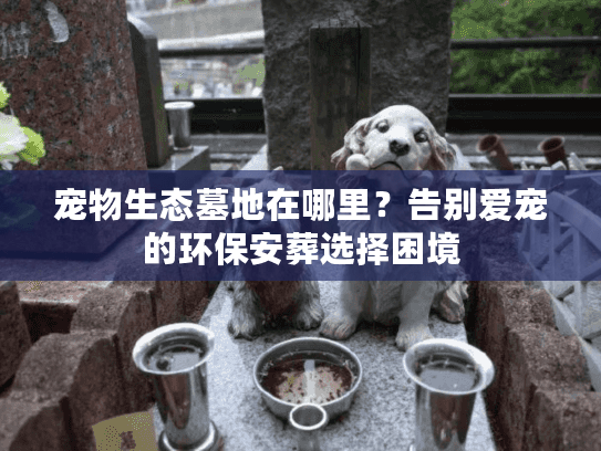 宠物生态墓地在哪里？告别爱宠的环保安葬选择困境