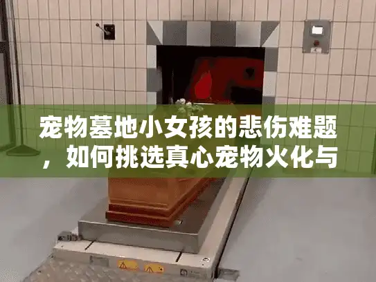 宠物墓地小女孩的悲伤难题，如何挑选真心宠物火化与墓地服务？