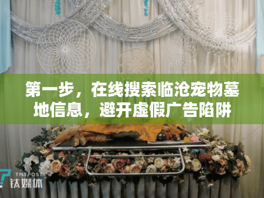第一步，在线搜索临沧宠物墓地信息，避开虚假广告陷阱