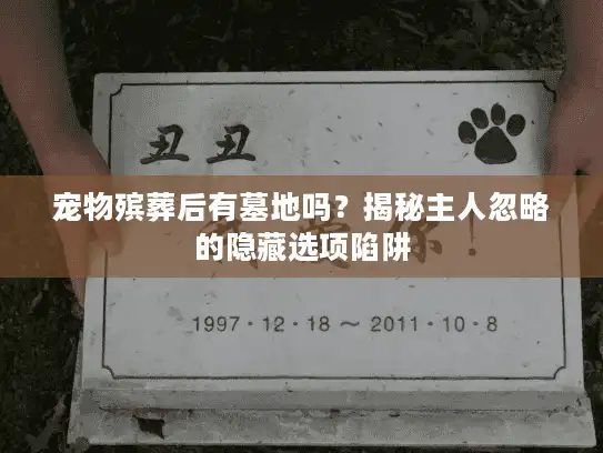 宠物殡葬后有墓地吗?揭秘主人忽略的隐藏选项陷阱 宠物殡葬后有墓地吗?揭秘主人忽略的隐藏选项陷阱