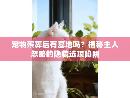 宠物殡葬后有墓地吗?揭秘主人忽略的隐藏选项陷阱 宠物殡葬后有墓地吗?揭秘主人忽略的隐藏选项陷阱