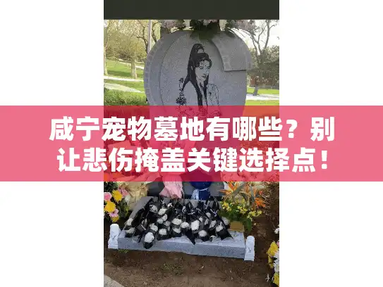 咸宁宠物墓地有哪些?别让悲伤掩盖关键选择点! 咸宁宠物墓地有哪些?别让悲伤掩盖关键选择点!