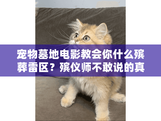 宠物墓地电影教会你什么殡葬雷区？殡仪师不敢说的真相