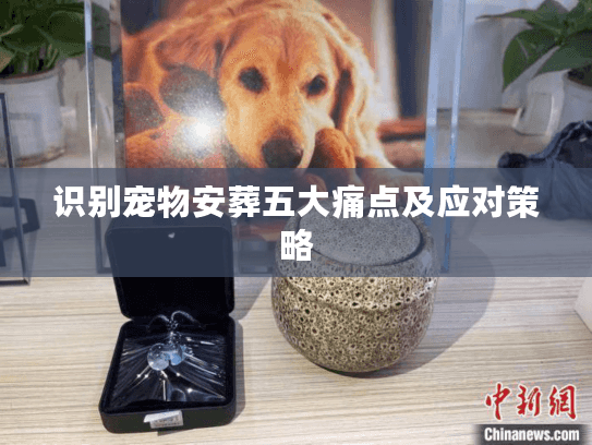识别宠物安葬五大痛点及应对策略 识别宠物安葬五大痛点及应对策略
