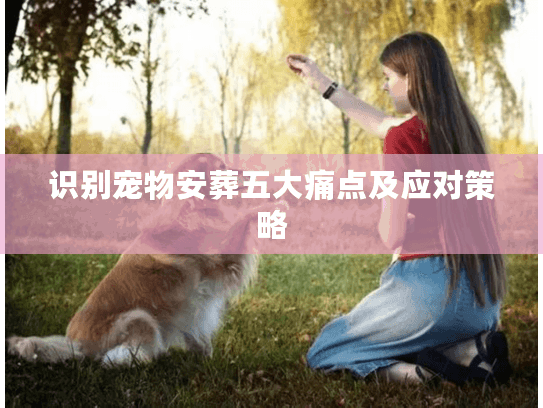 识别宠物安葬五大痛点及应对策略 识别宠物安葬五大痛点及应对策略