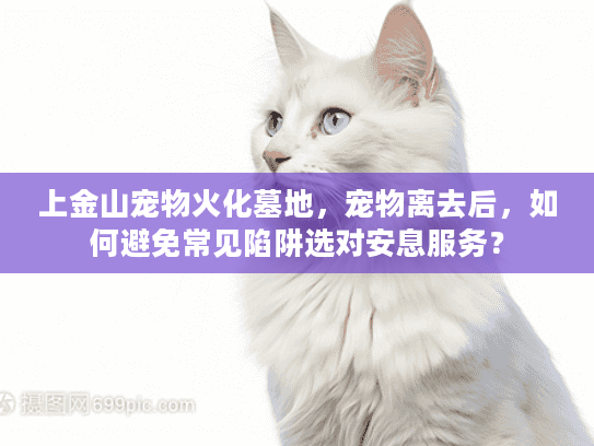 上金山宠物火化墓地，宠物离去后，如何避免常见陷阱选对安息服务？