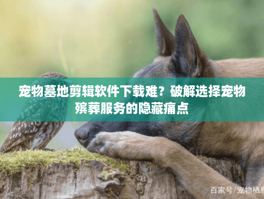 宠物墓地剪辑软件下载难？破解选择宠物殡葬服务的隐藏痛点