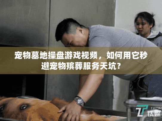宠物墓地操盘游戏视频，如何用它秒避宠物殡葬服务天坑？