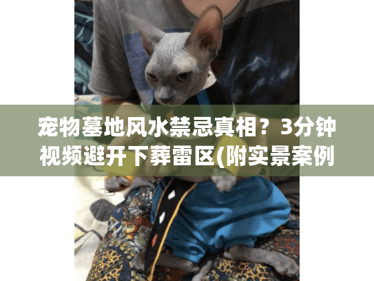 宠物墓地风水禁忌真相？3分钟视频避开下葬雷区(附实景案例)