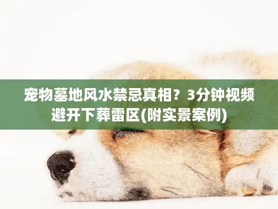 宠物墓地风水禁忌真相？3分钟视频避开下葬雷区(附实景案例)