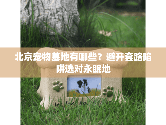 北京宠物墓地有哪些？避开套路陷阱选对永眠地