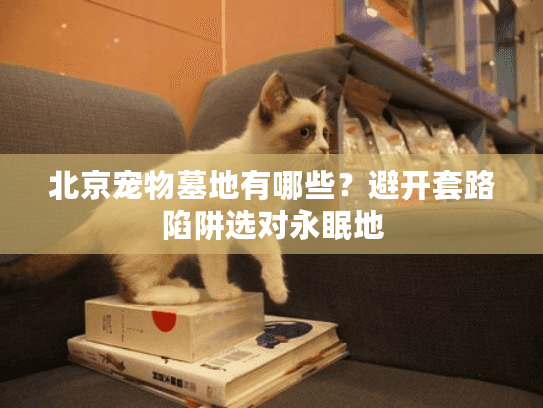 北京宠物墓地有哪些？避开套路陷阱选对永眠地