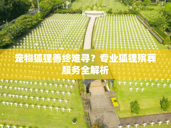 宠物狐狸善终难寻?专业狐狸殡葬服务全解析 宠物狐狸善终难寻?专业狐狸殡葬服务全解析