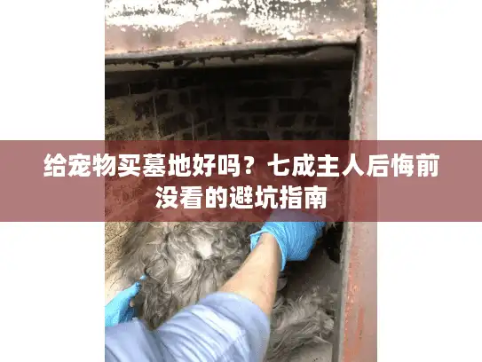 给宠物买墓地好吗?七成主人后悔前没看的避坑指南 给宠物买墓地好吗?七成主人后悔前没看的避坑指南