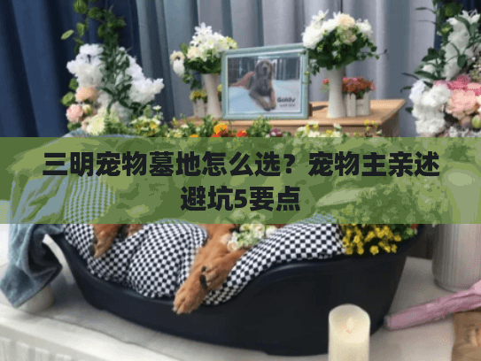 三明宠物墓地怎么选？宠物主亲述避坑5要点