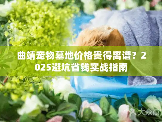 曲靖宠物墓地价格贵得离谱？2025避坑省钱实战指南