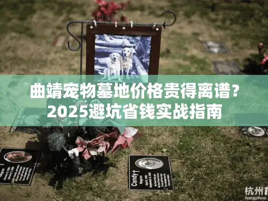 曲靖宠物墓地价格贵得离谱？2025避坑省钱实战指南