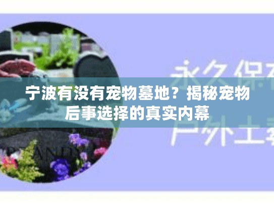 宁波有没有宠物墓地？揭秘宠物后事选择的真实内幕