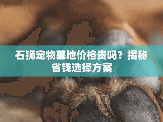 石狮宠物墓地价格贵吗？揭秘省钱选择方案