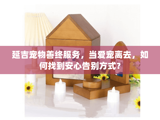 延吉宠物善终服务，当爱宠离去，如何找到安心告别方式？