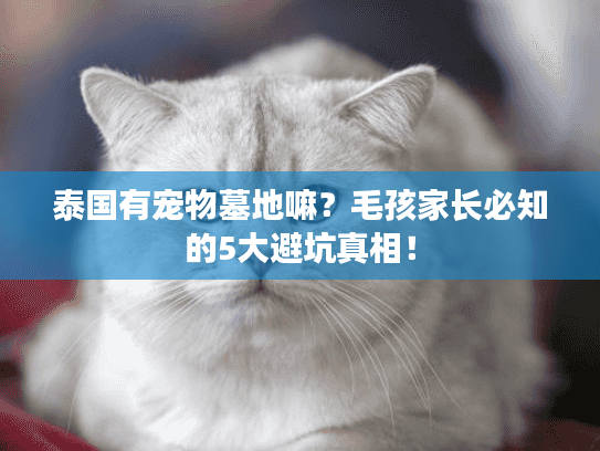 泰国有宠物墓地嘛？毛孩家长必知的5大避坑真相！