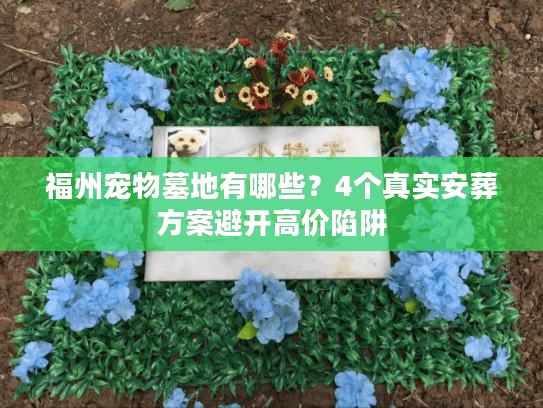 福州宠物墓地有哪些？4个真实安葬方案避开高价陷阱