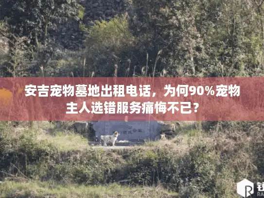 安吉宠物墓地出租电话，为何90%宠物主人选错服务痛悔不已？