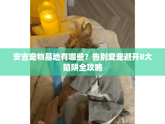安吉宠物墓地有哪些？告别爱宠避开8大陷阱全攻略