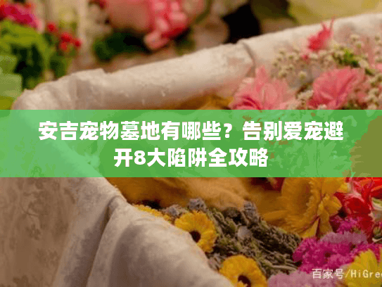 安吉宠物墓地有哪些？告别爱宠避开8大陷阱全攻略