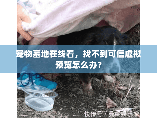 宠物墓地在线看，找不到可信虚拟预览怎么办？