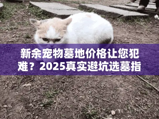 新余宠物墓地价格让您犯难？2025真实避坑选墓指南