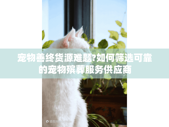 宠物善终货源难题?如何筛选可靠的宠物殡葬服务供应商