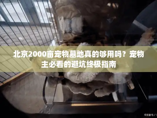 北京2000亩宠物墓地真的够用吗？宠物主必看的避坑终极指南