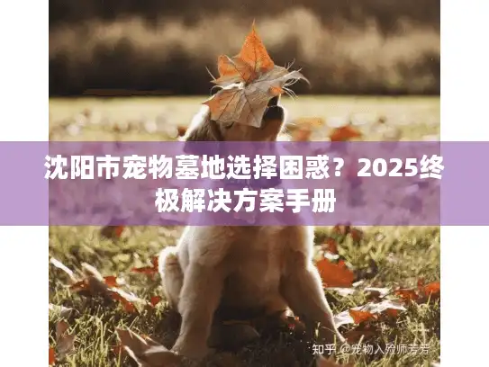 沈阳市宠物墓地选择困惑？2025终极解决方案手册