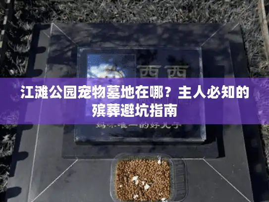 江滩公园宠物墓地在哪?主人必知的殡葬避坑指南 江滩公园宠物墓地在哪?主人必知的殡葬避坑指南