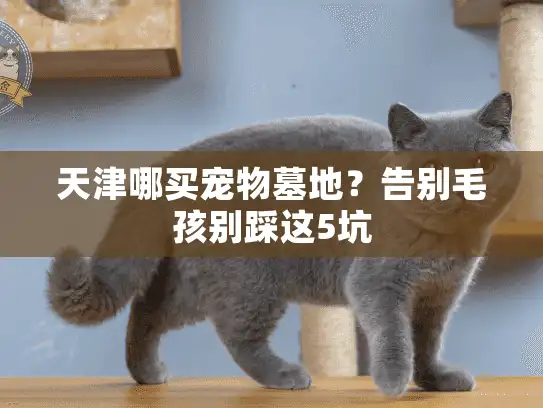 天津哪买宠物墓地？告别毛孩别踩这5坑