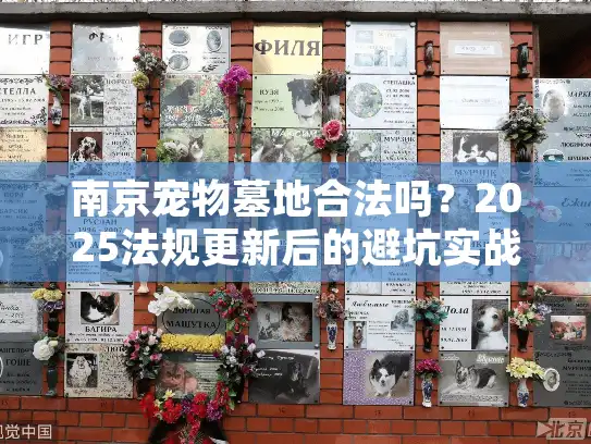 南京宠物墓地合法吗？2025法规更新后的避坑实战贴