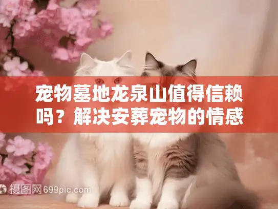 宠物墓地龙泉山值得信赖吗？解决安葬宠物的情感纠结