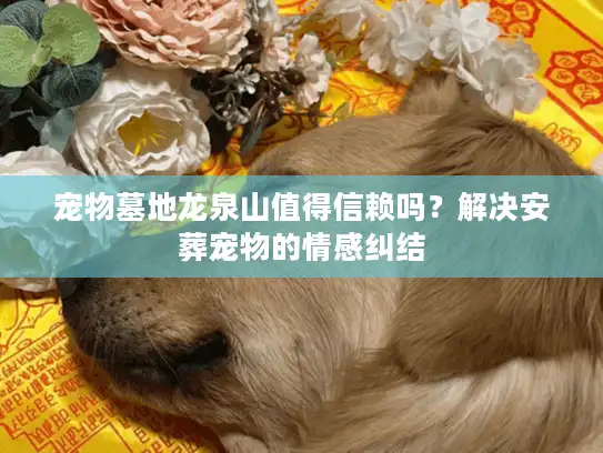 宠物墓地龙泉山值得信赖吗？解决安葬宠物的情感纠结