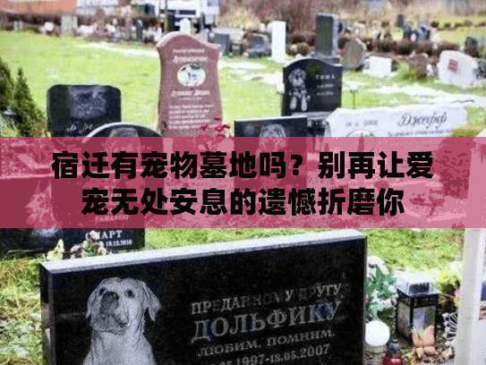 宿迁有宠物墓地吗？别再让爱宠无处安息的遗憾折磨你
