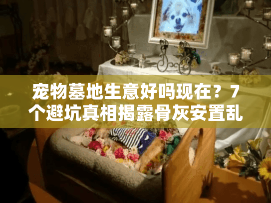 宠物墓地生意好吗现在？7个避坑真相揭露骨灰安置乱收费