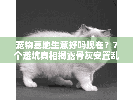 宠物墓地生意好吗现在？7个避坑真相揭露骨灰安置乱收费