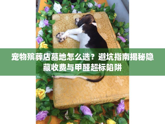 宠物殡葬店墓地怎么选?避坑指南揭秘隐藏收费与甲醛超标陷阱 宠物殡葬店墓地怎么选?避坑指南揭秘隐藏收费与甲醛超标陷阱