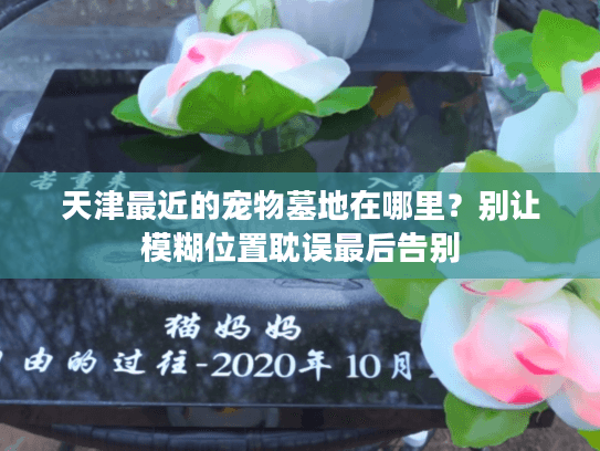 天津最近的宠物墓地在哪里？别让模糊位置耽误最后告别