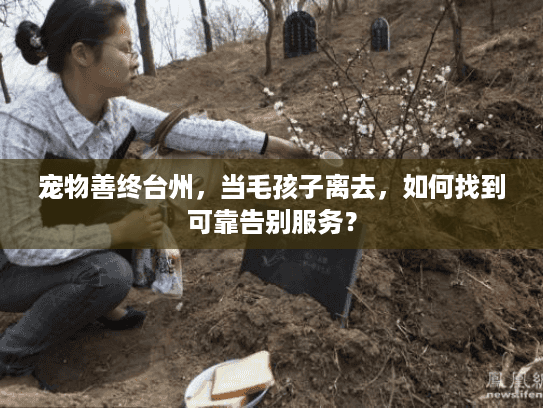 宠物善终台州，当毛孩子离去，如何找到可靠告别服务？