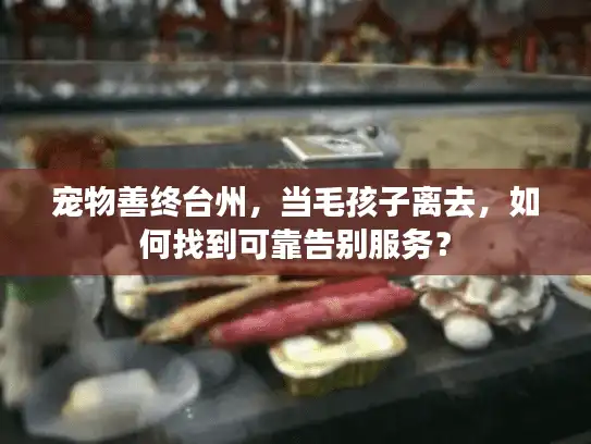 宠物善终台州，当毛孩子离去，如何找到可靠告别服务？