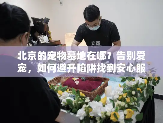 北京的宠物墓地在哪？告别爱宠，如何避开陷阱找到安心服务？