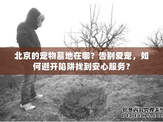 北京的宠物墓地在哪？告别爱宠，如何避开陷阱找到安心服务？